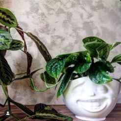 Tassen Bols, Tasses Et Mugs Bol XL En Porcelaine émotion 1000ml -Bols, tasses et mugs Soldes Magasin bol xl en porcelaine emotion 1000ml 2