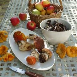 Tsé & Tsé Associées Bols, Tasses Et Mugs Grand Bol Porcelaine Blanc Brillant D16cm -Bols, tasses et mugs Soldes Magasin grand bol porcelaine blanc brillant d16cm 2